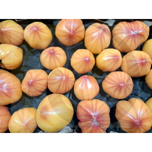 Pomidor żółty ananasowy ok.6,0kg Polska (97.16622.end)