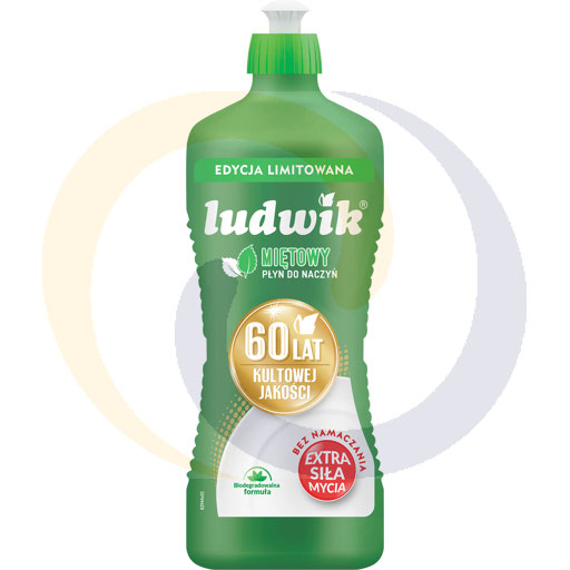 LUDWIK WASHING LIQUID 925G MINT