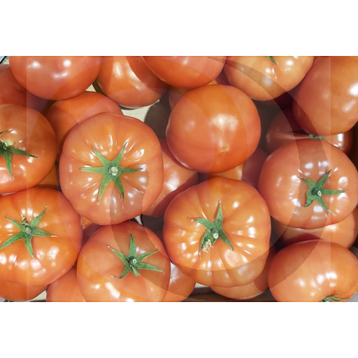 Warzywa i Owoce Ex Pomidor czerwony ok.6kg  Polska kod: