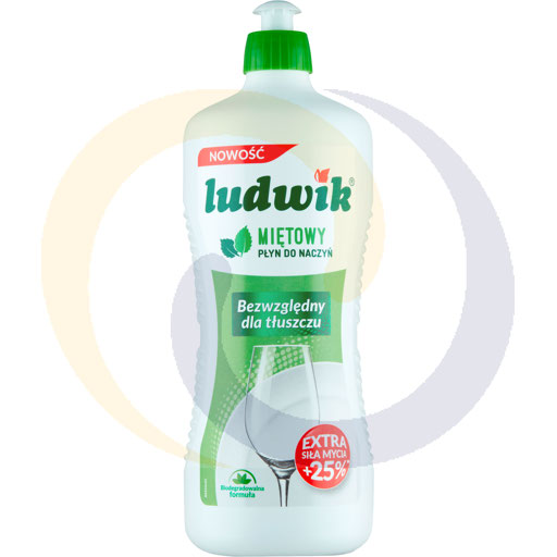 LUDWIK WASHING LIQUID 900G MINT