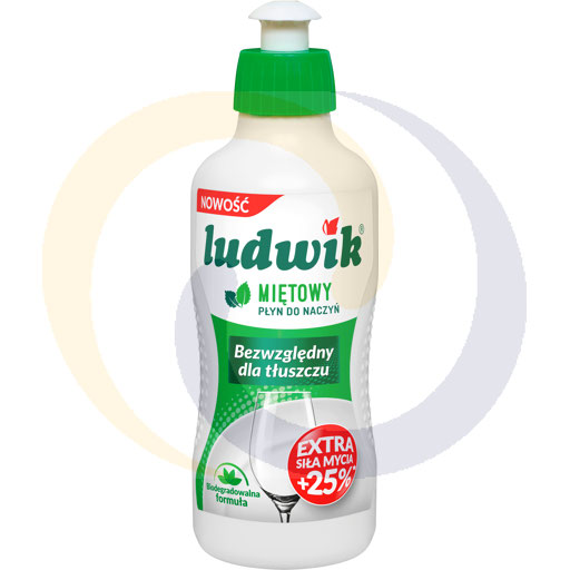 Ludwik mint dishwashing liquid 0.25l/20pcs Inco