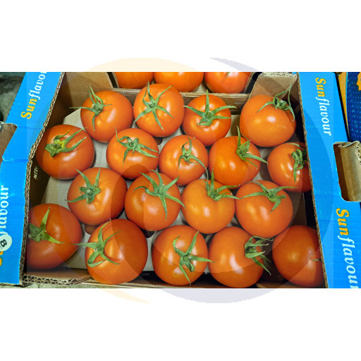 Pomidor czerwony ok.6kg Import (32.5531)