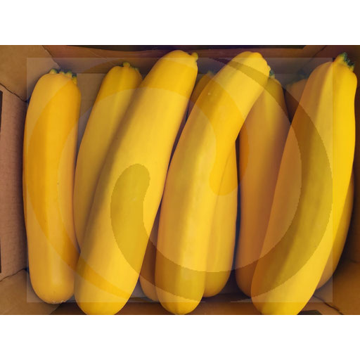 Warzywa i Owoce Ex Cukinia żółta ok. 5,0kg  Polska kod: