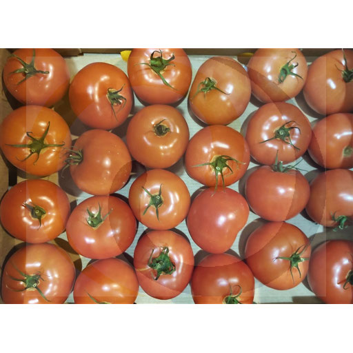 Warzywa i Owoce Ex Pomidor malinowy ok.6kg Import kod: