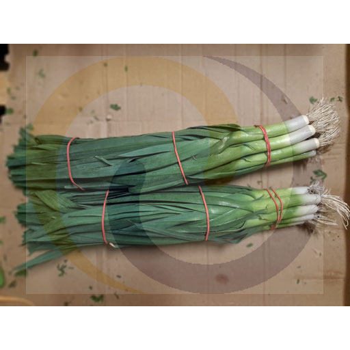Young leek bunch approx. 900g Poland