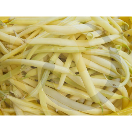 Warzywa i Owoce Ex Fasola szparagowa żółta ok.5kg  Polska kod: