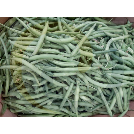 Warzywa i Owoce Ex Fasola szparagowa zielona 5,0kg  Polska kod: