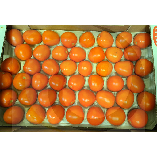 Pomidor Lima czerwony ok.6kg Import (39.6524)