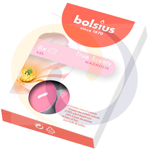 PODGRZEWACZ BOLSIUS ZAPACHOWY A`6 MAGNOLIA/4H/
