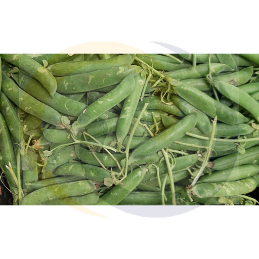 Warzywa i Owoce Ex Groszek zielony ok.6kg  Import kod: