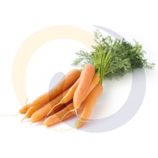 Warzywa i Owoce Ex Marchew ok.10kg  Import kod: