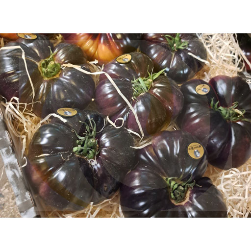 Pomidor Antociano fioletowy ok. 3,0kg Import