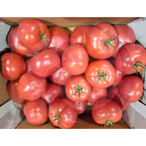 Pomidor malinowy BB/BBB ok.6,0kg Polska (3.913)