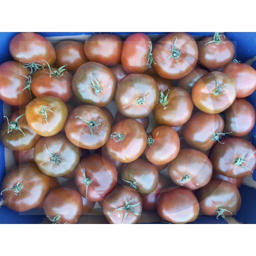 Warzywa i Owoce Ex Pomidor Kumato czarny ok.6kg Polska kod: