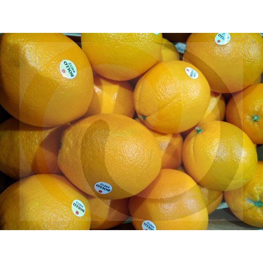 Pomarańcza ok.10kg Import (70.8985)