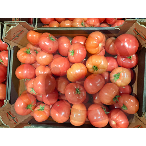 Pomidor malinowy B ok.6,0kg Polska (26.5124)